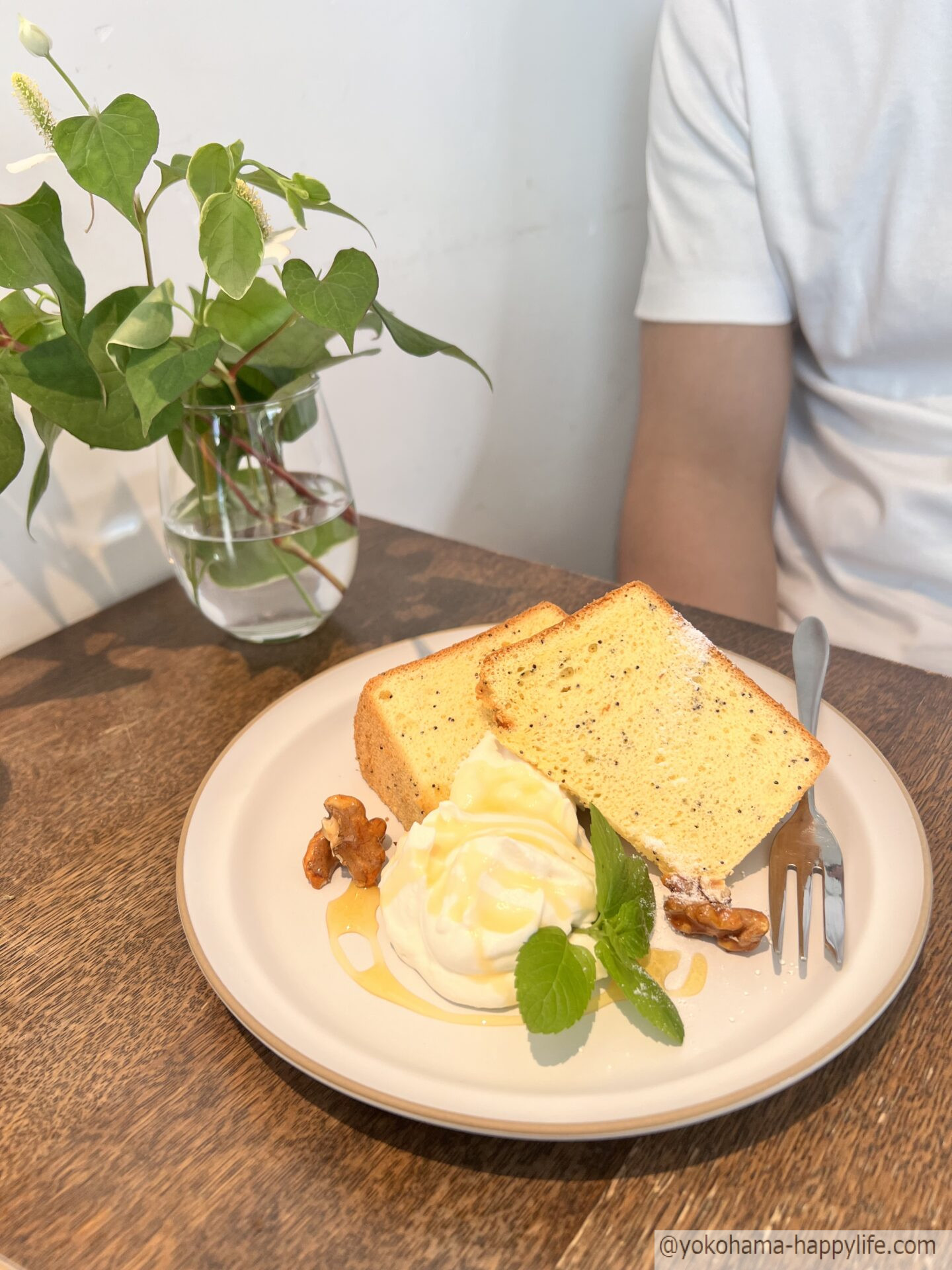 CAFE KOTO 生シフォン