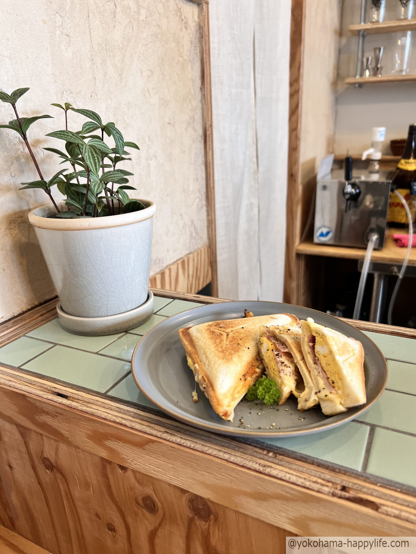 Seagleam Coffee Kamakura Roastery&Stand エッグハムチーズサンド